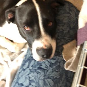 Meet your Posher, Aimee